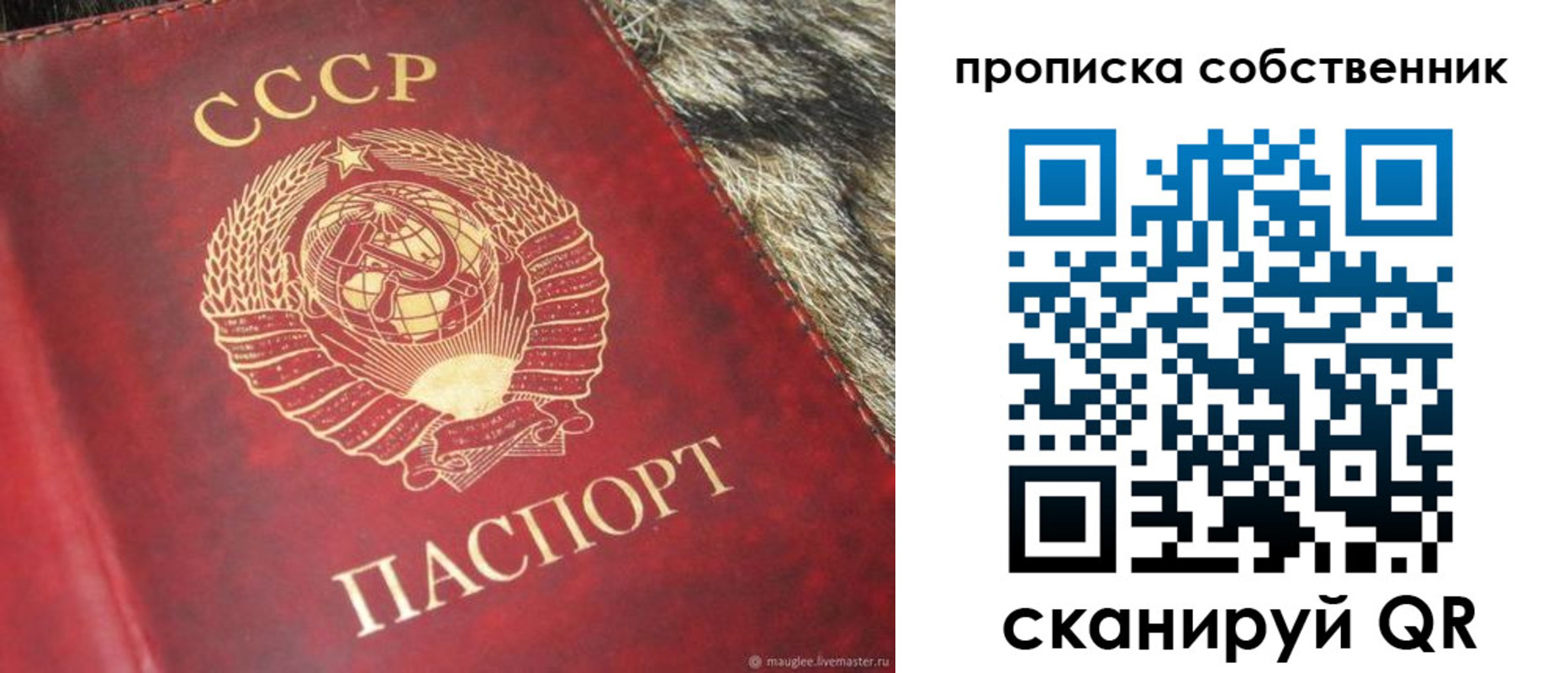 прописка в квартире в Вяземском